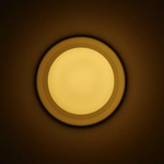 Pastille 1 Disc